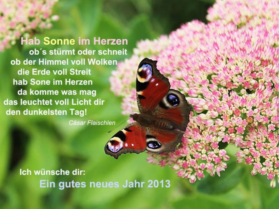Frohes Neues Jahr 2017 Frohes Neues Jahr 2017